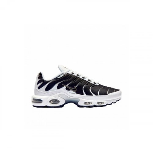Nike Air Max Plus White Black Metallic Pewter CT1094-102