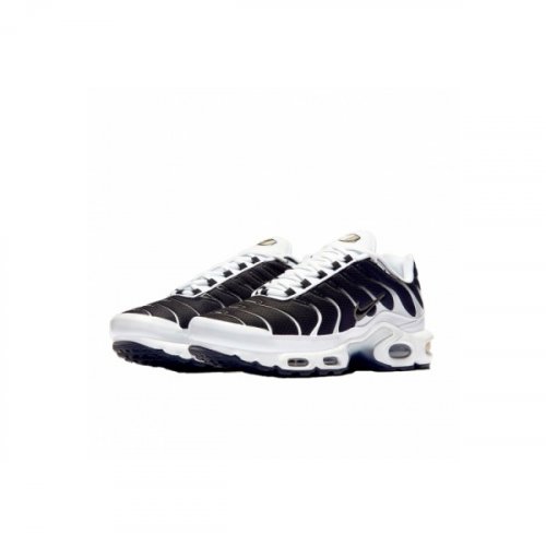 Nike Air Max Plus White Black Metallic Pewter CT1094-102