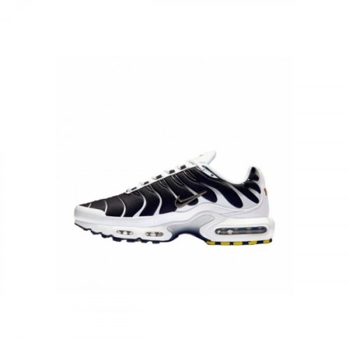Nike Air Max Plus White Black Metallic Pewter CT1094-102