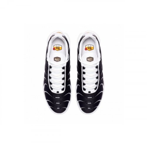 Nike Air Max Plus White Black Metallic Pewter CT1094-102